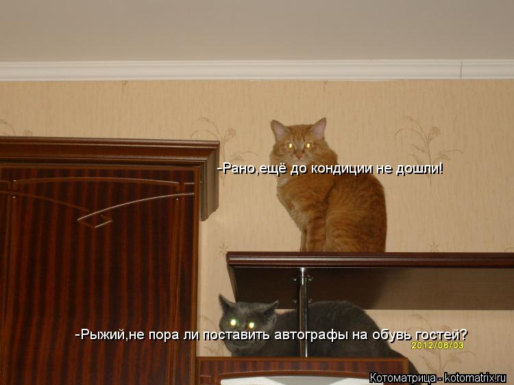 -Рыжий,не пора ли поставить автографы на обувь гостей? -Рано,ещё до кондиции не дошли!... Котоматрица: -Рыжий,не пора ли поставить автографы на обувь гостей? -Рано,ещё до кондиции не дошли!