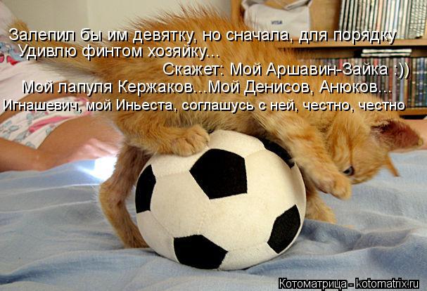 Удивлю финтом хозяйку... Скажет: Мой Аршавин-Зайка :)) Мой лапуля Кержаков...Мой Денисов, Анюков... З... Котоматрица: Удивлю финтом хозяйку... Скажет: Мой Аршавин-Зайка :)) Мой лапуля Кержаков...Мой Денисов, Анюков... Залепил бы им девятку, но сначала, для порядк