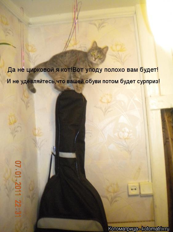 Да не цирковой я кот!Вот уподу полохо вам будет! И не удевляйтесь,что вашей обуви потом будет сурприз... Котоматрица: Да не цирковой я кот!Вот уподу полохо вам будет! И не удевляйтесь,что вашей обуви потом будет сурприз!