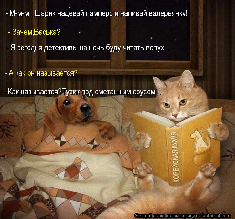 - М-м-м...Шарик надевай памперс и наливай валерьянку! - Зачем,Васька? - А как он называется? - Я сего... Котоматрица: - М-м-м...Шарик надевай памперс и наливай валерьянку! - Зачем,Васька? - А как он называется? - Я сегодня детективы на ночь буду читать вслух... - Ка