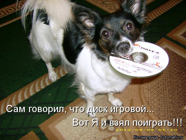Сам говорил, что диск игровой... Вот Я и взял поиграть!!!... Котоматрица: Сам говорил, что диск игровой... Вот Я и взял поиграть!!!