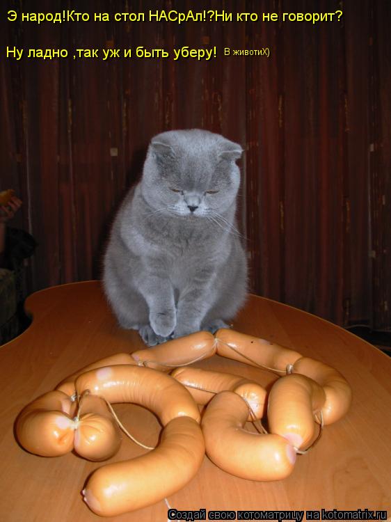 Котоматрица: Э народ!Кто на стол НАСрАл!?Ни кто не говорит? Ну ладно ,так уж и быть уберу! В животиХ)