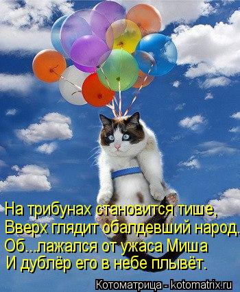Котоматрица: На трибунах становится тише, Вверх глядит обалдевший народ. Об...лажался от ужаса Миша И дублёр его в небе плывёт.