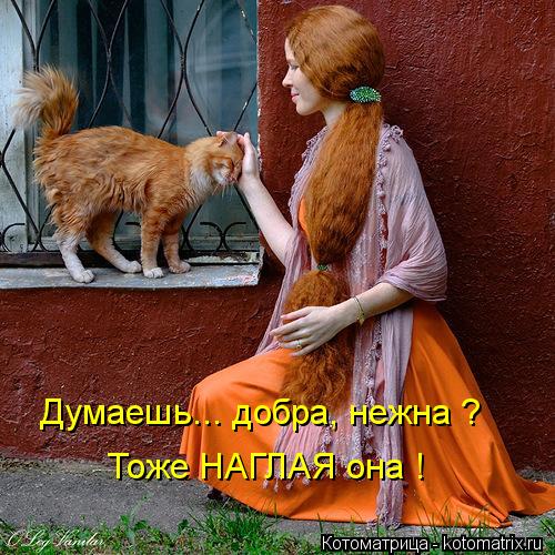 Котоматрица: Думаешь... добра, нежна ? Тоже НАГЛАЯ она !