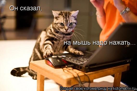 Котоматрица: Он сказал,  на мышь надо нажать...