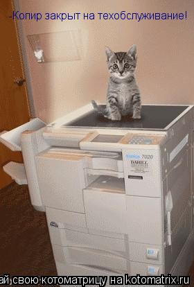 Котоматрица: -Копир закрыт на техобслуживание!