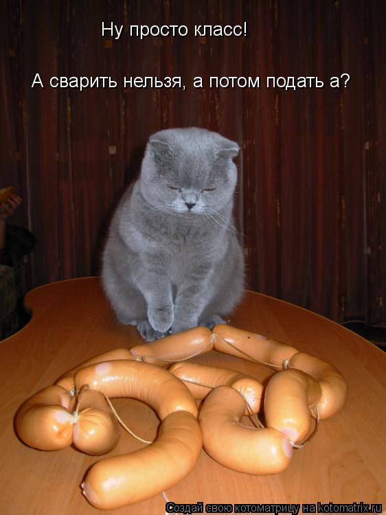 Котоматрица: Ну просто класс! А сварить нельзя, а потом подать а?