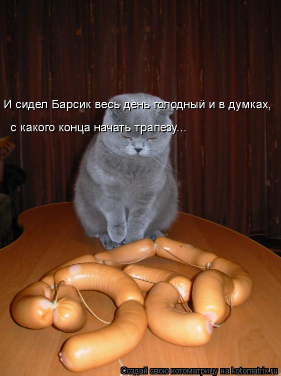 Котоматрица: И сидел Барсик весь день голодный и в думках, с какого конца начать трапезу...