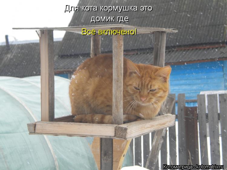 Котоматрица: Для кота кормушка это домик где Всё включено!