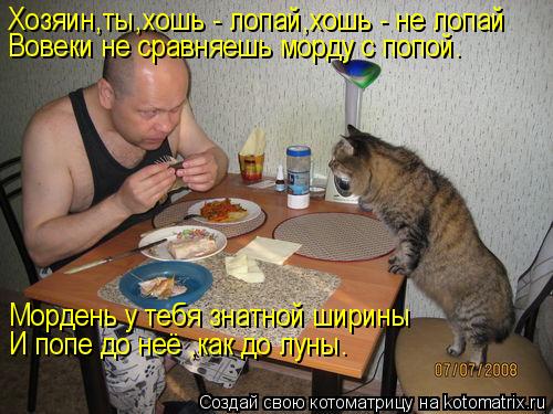 Котоматрица: Хозяин,ты,хошь - лопай,хошь - не лопай Вовеки не сравняешь морду с попой. Мордень у тебя знатной ширины И попе до неё ,как до луны.