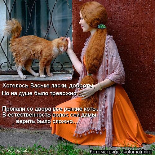 Котоматрица: Хотелось Ваське ласки, доброты, Но на душе было тревожно... Пропали со двора все рыжие коты... В естественность волос сей дамы   верить было сл