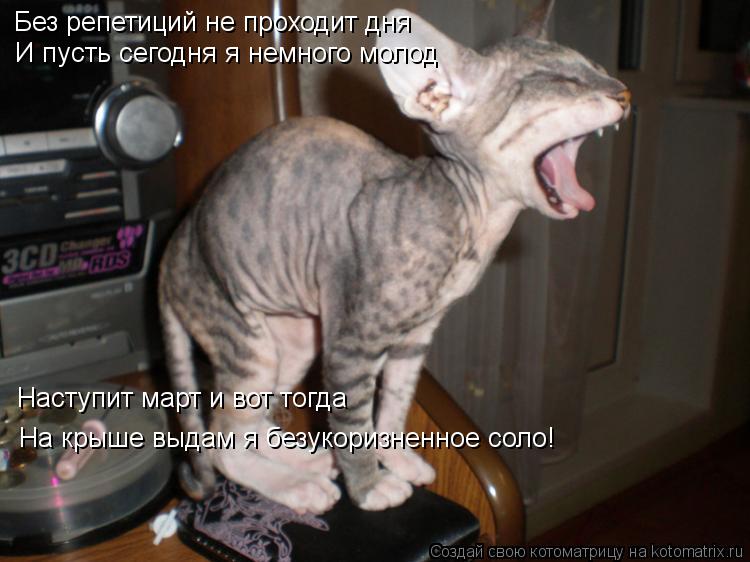 Котоматрица: Без репетиций не проходит дня И пусть сегодня я немного молод Наступит март и вот тогда На крыше выдам я безукоризненное соло!