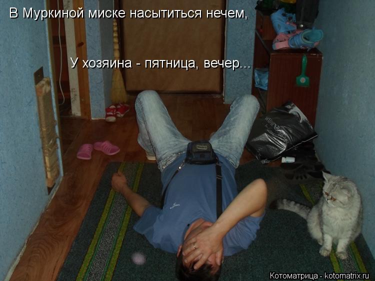 В Муркиной миске насытиться нечем, У хозяина - пятница, вечер...... Котоматрица: В Муркиной миске насытиться нечем, У хозяина - пятница, вечер...