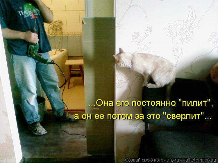 Котоматрица: ...Она его постоянно ''пилит'', а он ее потом за это ''сверлит''...