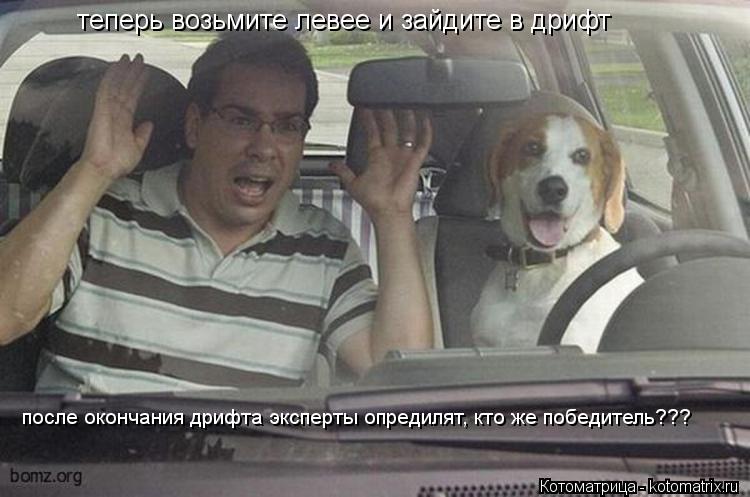 теперь возьмите левее и зайдите в дрифт после окончания дрифта эксперты опредилят, кто же победитель?... Котоматрица: теперь возьмите левее и зайдите в дрифт после окончания дрифта эксперты опредилят, кто же победитель???
