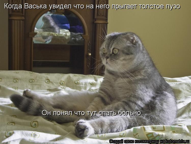 Котоматрица: Когда Васька увидел что на него прыгает толстое пузо Он понял что тут спать больно