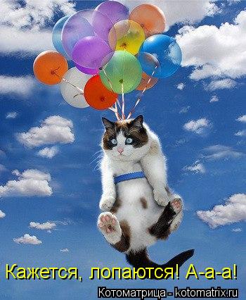 Котоматрица: Кажется, лопаются! А-а-а!