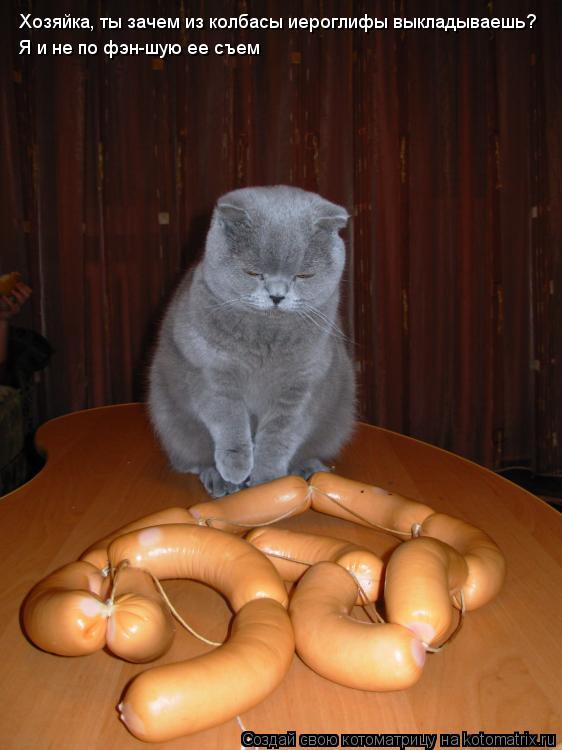 Котоматрица: Хозяйка, ты зачем из колбасы иероглифы выкладываешь? Я и не по фэн-шую ее съем