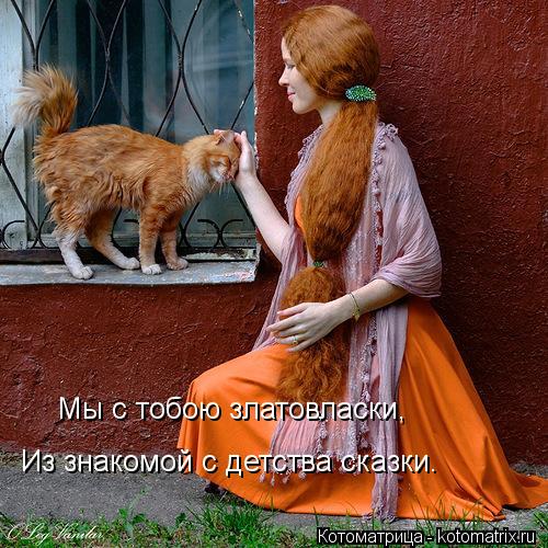 Мы с тобою златовласки, Из знакомой с детства сказки.... Котоматрица: Мы с тобою златовласки, Из знакомой с детства сказки.
