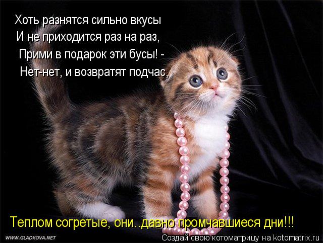 Котоматрица: Хоть разнятся сильно вкусы И не приходится раз на раз, Прими в подарок эти бусы! - Нет-нет, и возвратят подчас, Теплом согретые, они..давно про