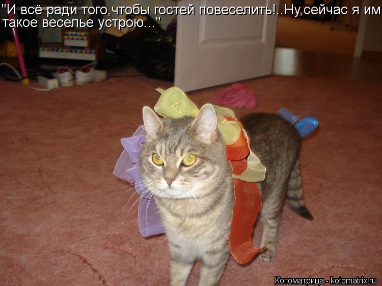 Котоматрица: "И всё ради того,чтобы гостей повеселить!..Ну,сейчас я им такое веселье устрою..."