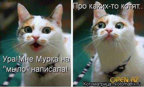 Котоматрица: Ура!Мне Мурка на  "мыло" написала! Про каких-то котят...
