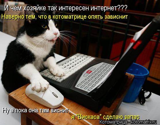 И чем хозяйке так интересен интернет??? Наверно тем, что в котоматрице опять зависнит Ну а пока она т... Котоматрица: И чем хозяйке так интересен интернет??? Наверно тем, что в котоматрице опять зависнит Ну а пока она там виснит, я "Вискаса" сделаю запас