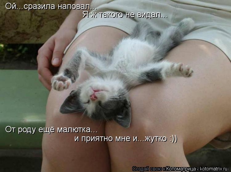 Ой...сразила наповал... Я ж такого не видал... От роду ещё малютка... и приятно мне и...жутко :))... Котоматрица: Ой...сразила наповал... Я ж такого не видал... От роду ещё малютка... и приятно мне и...жутко :))