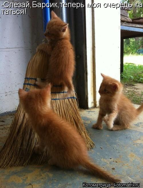 Котоматрица: -Слезай,Барсик,теперь моя очередь ка- таться!