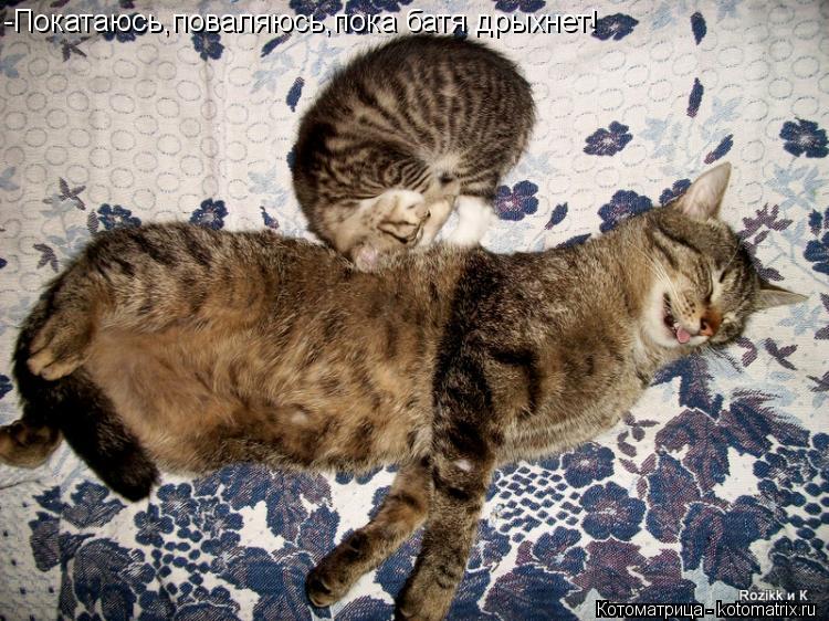 Котоматрица: -Покатаюсь,поваляюсь,пока батя дрыхнет!