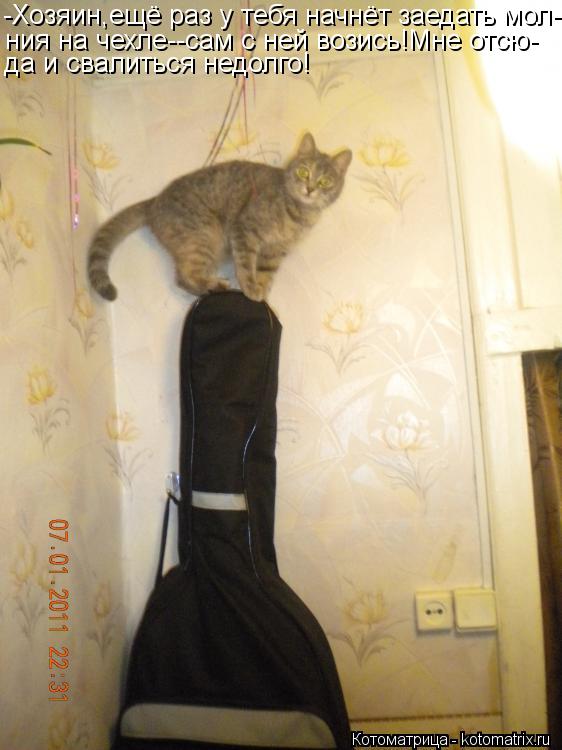 Котоматрица: -Хозяин,ещё раз у тебя начнёт заедать мол- ния на чехле--сам с ней возись!Мне отсю- да и свалиться недолго!