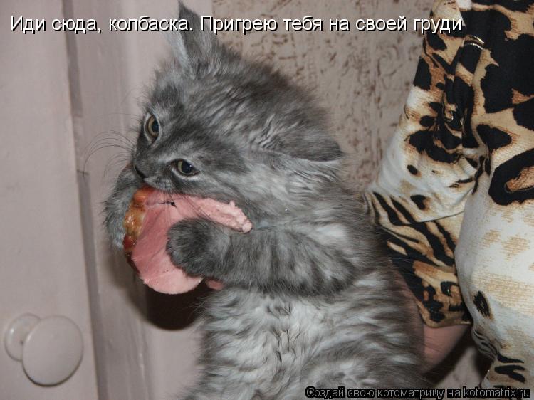 Котоматрица: Иди сюда, колбаска. Пригрею тебя на своей груди