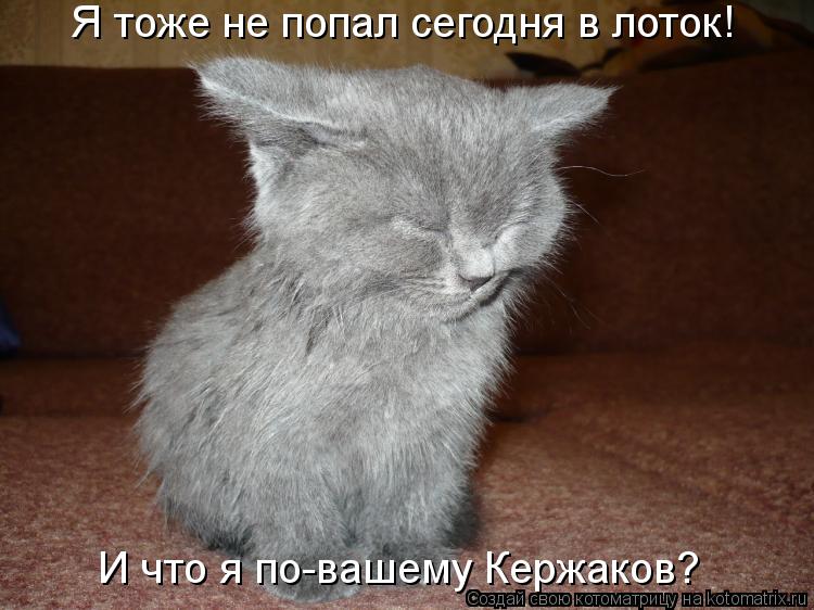 Котоматрица: Я тоже не попал сегодня в лоток! И что я по-вашему Кержаков?