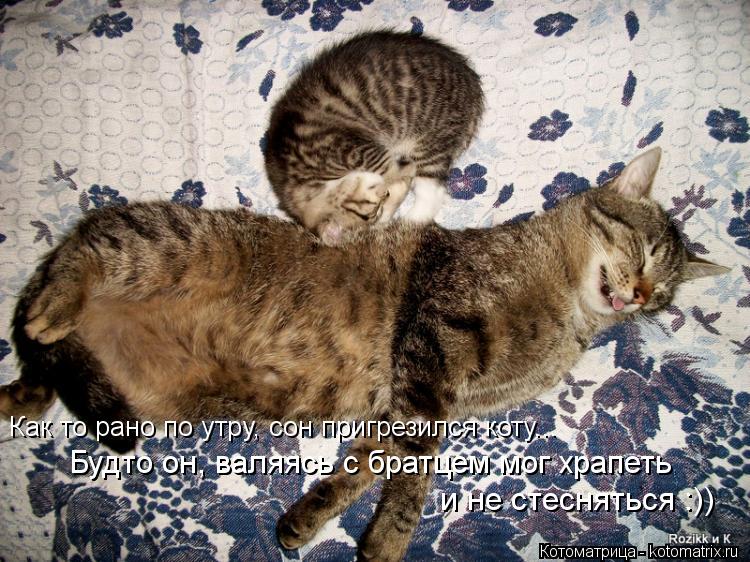Как то рано по утру, сон пригрезился коту... Будто он, валяясь с братцем мог храпеть и не стесняться... Котоматрица: Как то рано по утру, сон пригрезился коту... Будто он, валяясь с братцем мог храпеть и не стесняться :))