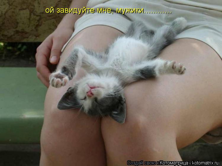 ой завидуйте мне, мужики............... Котоматрица: ой завидуйте мне, мужики............