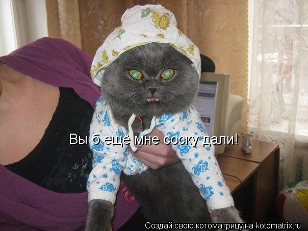 Вы б ещё мне соску дали!... Котоматрица: Вы б ещё мне соску дали!