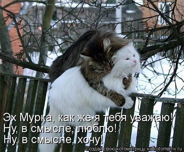 Котоматрица: Эх Мурка, как же я тебя уважаю! Ну, в смысле, люблю! Ну, в смысле, хочу!