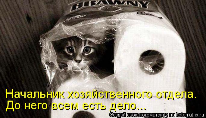 Котоматрица: Начальник хозяйственного отдела. До него всем есть дело...