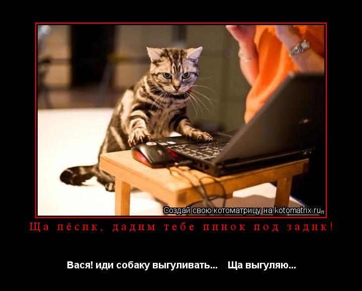 Котоматрица: Ща пёсик, дадим тебе пинок под задик! Вася! иди собаку выгуливать...    Ща выгуляю...