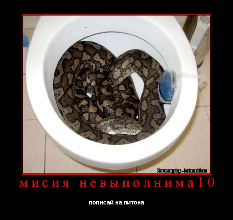 мисия невыполнима10 пописай на питона... Котоматрица: мисия невыполнима10 пописай на питона