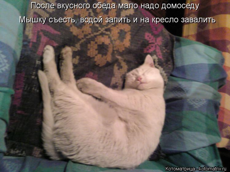 После вкусного обеда мало надо домоседу Мышку съесть, водой запить и на кресло завалить... Котоматрица: После вкусного обеда мало надо домоседу Мышку съесть, водой запить и на кресло завалить
