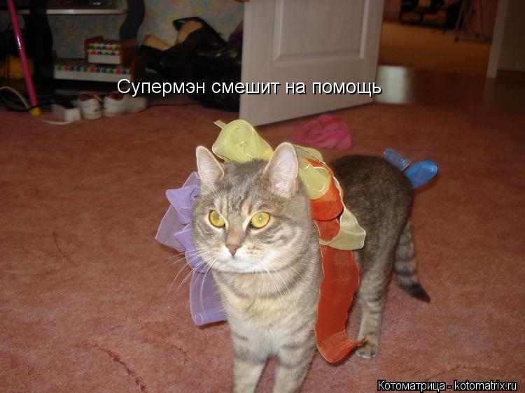 Котоматрица: Супермэн смешит на помощь