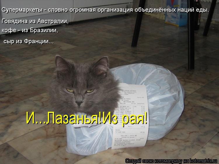 Супермаркеты - словно огромная организация объединённых наций еды. Говядина из Австралии, кофе - из Б... Котоматрица: Супермаркеты - словно огромная организация объединённых наций еды. Говядина из Австралии, кофе - из Бразилии, сыр из Франции... И...Лазанья!Из