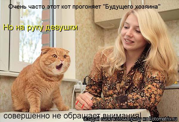 Котоматрица: Но на руку девушки совершенно не обращает внимания! _ _ Очень часто этот кот прогоняет "Будущего хозяина"