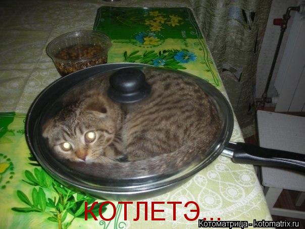 КОТЛЕТЭ...... Котоматрица: КОТЛЕТЭ...