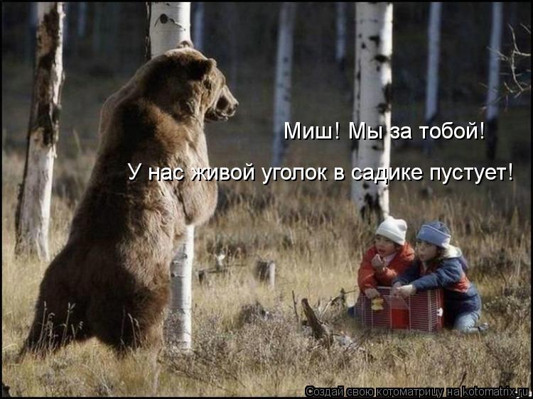 Котоматрица: Миш! Мы за тобой! У нас живой уголок в садике пустует!