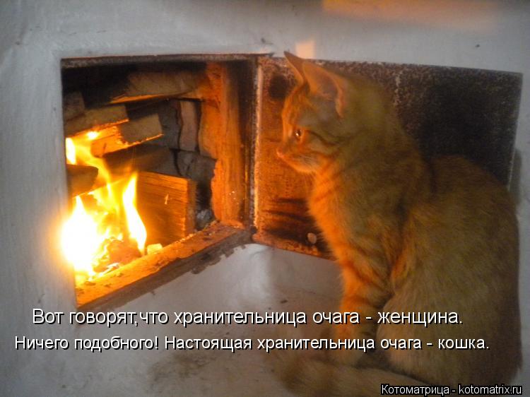 Котоматрица: Вот говорят,что хранительница очага - женщина. Ничего подобного! Настоящая хранительница очага - кошка.