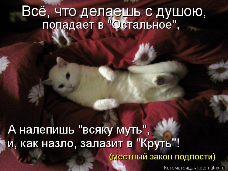 Котоматрица: попадает в "Остальное", А налепишь "всяку муть", и, как назло, залазит в "Круть"! Всё, что делаешь с душою, (местный закон подлости)