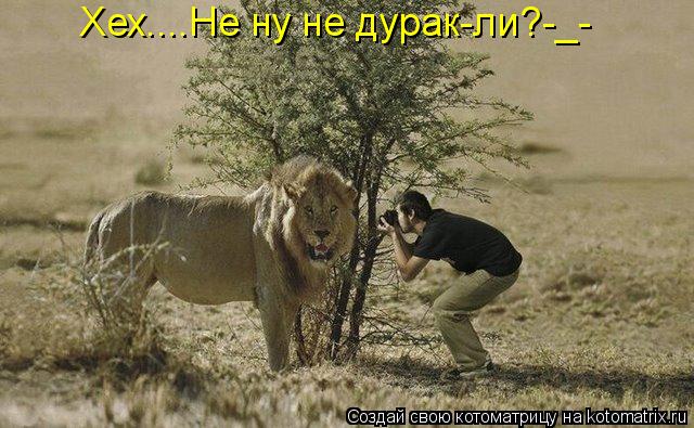 Хех....Не ну не дурак-ли?-_-... Котоматрица: Хех....Не ну не дурак-ли?-_-