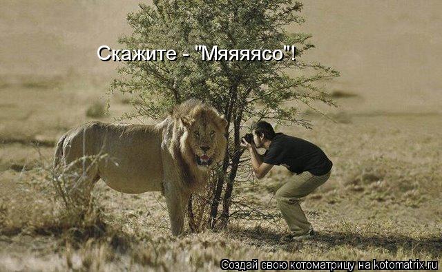 Скажите - "Мяяяясо"!... Котоматрица: Скажите - "Мяяяясо"!